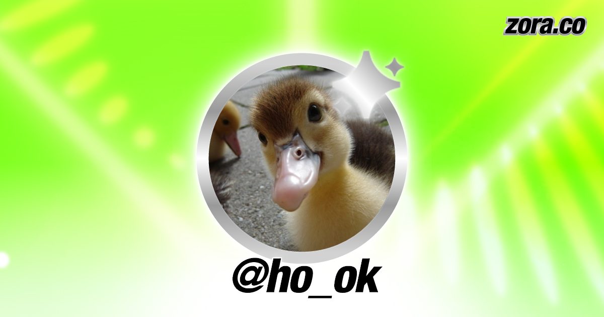 ho_ok