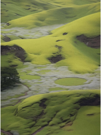 photo of green mossy hill | nomoreluca